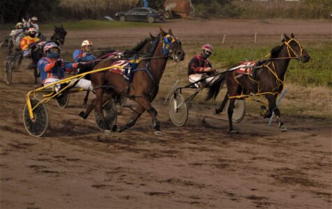 Trotting Race Photo of Trotting Race
