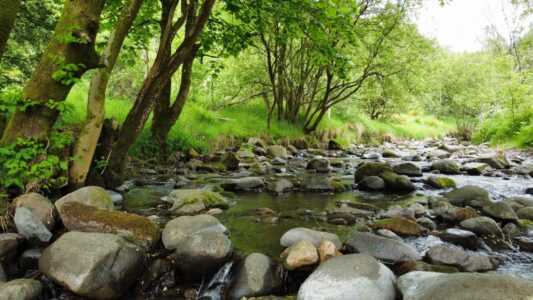 Photo of Dollar Glen burn